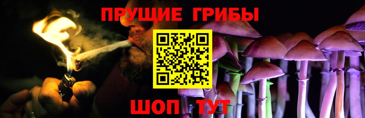 Псилоцибиновые грибы MAGIC MUSHROOMS  Вход с VPN  Чусовой  Псилоцибиновые грибы прущие грибы 